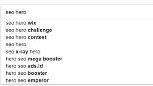 seo hero serp hints