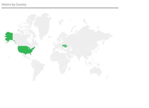 website audience